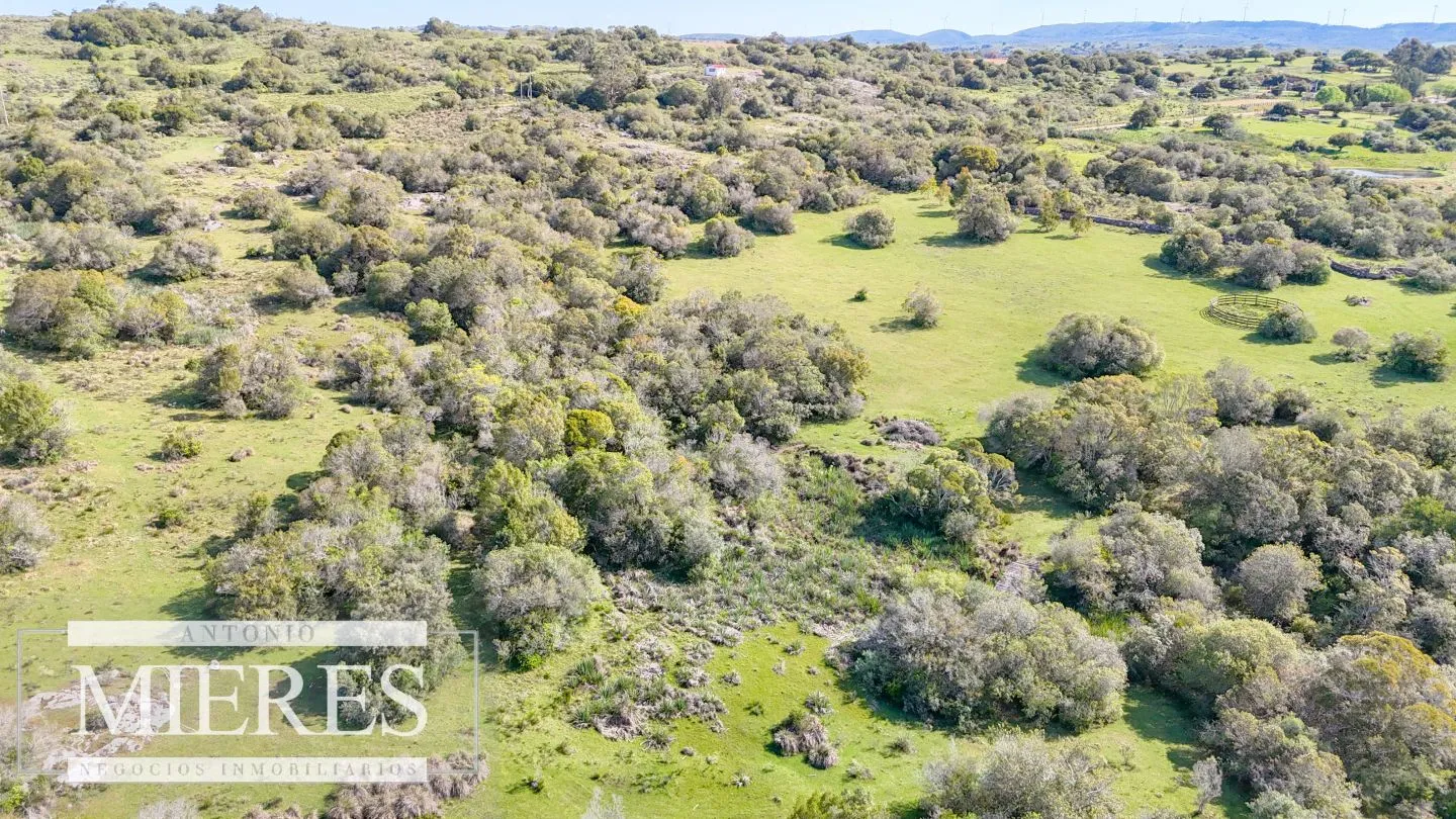 Chacra de 12ha con casa en las sierras de Maldonado ruta 39 — foto 17