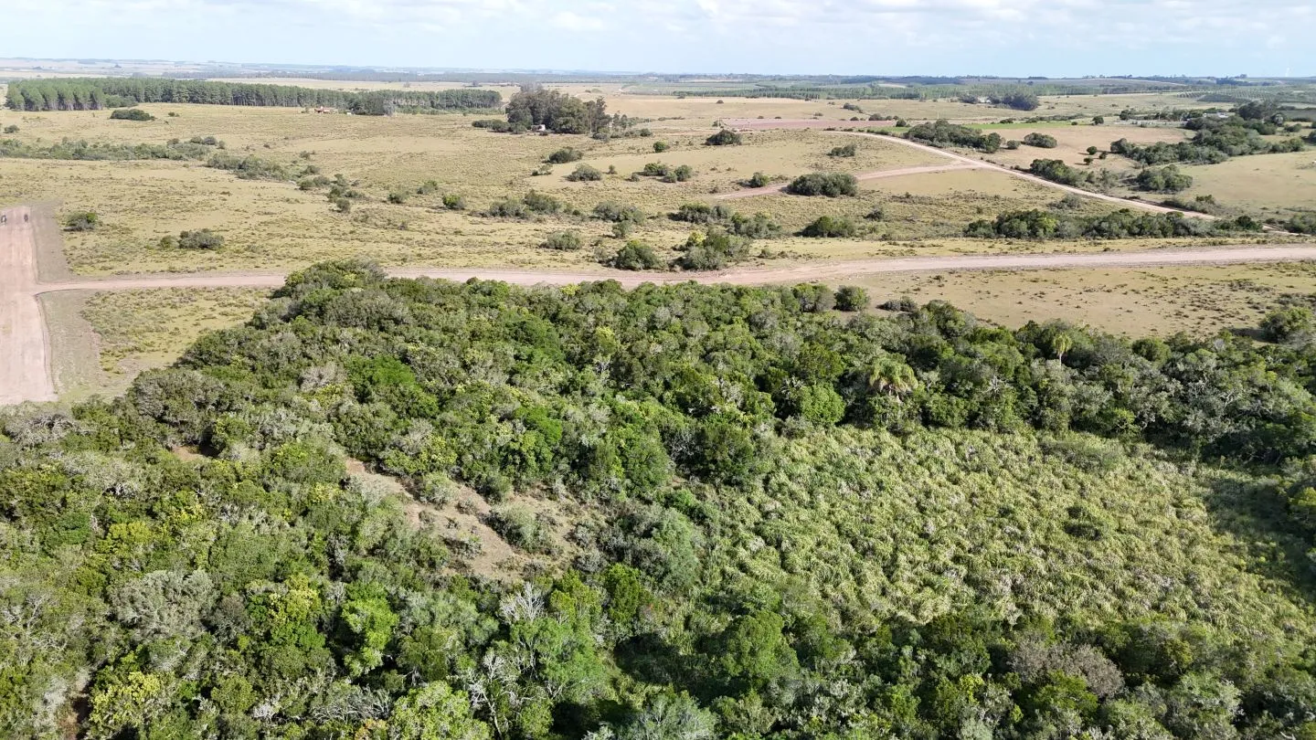 Campo en venta de 30 ha Garzón, Uruguay. — foto 15