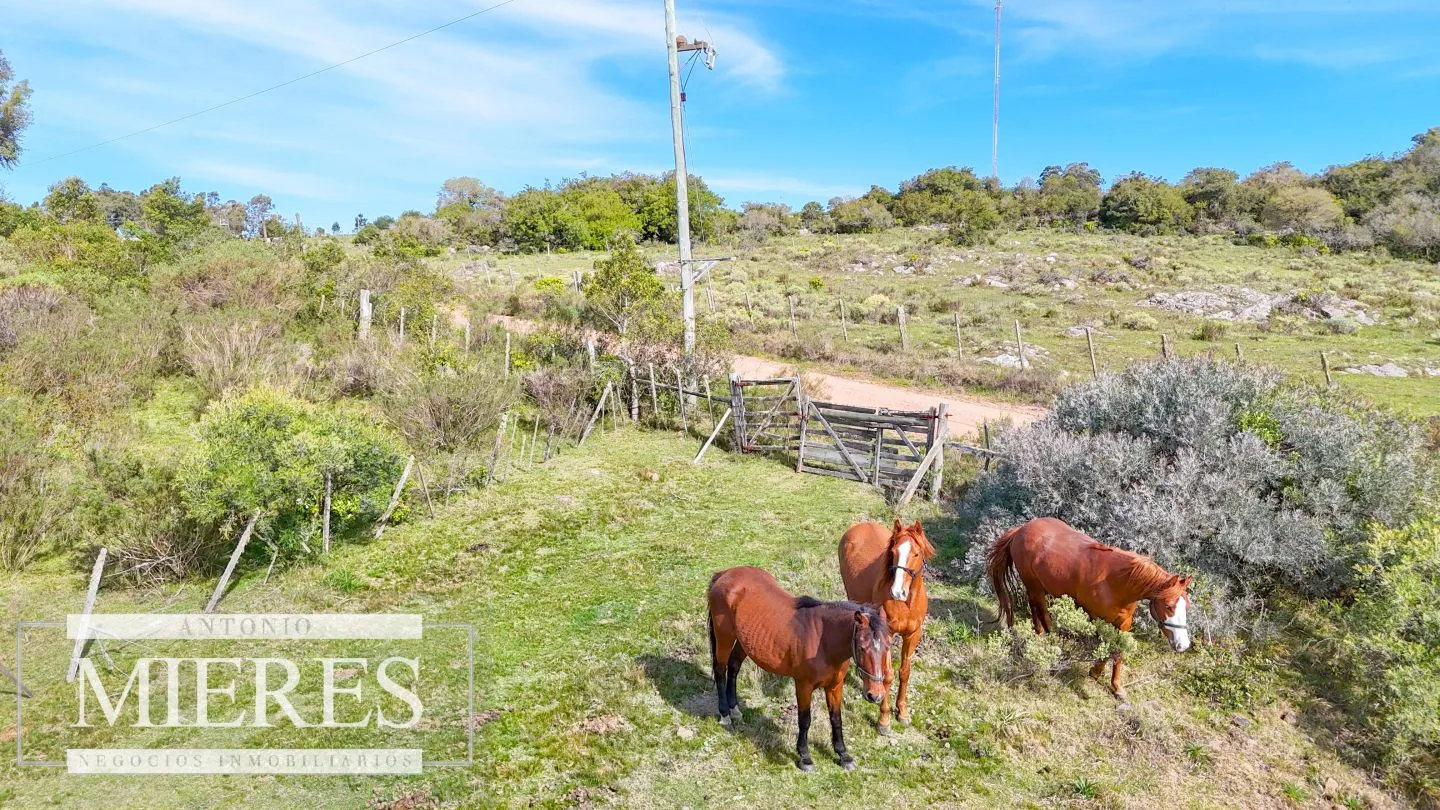 Chacra de 12ha con casa en las sierras de Maldonado ruta 39 — foto 20