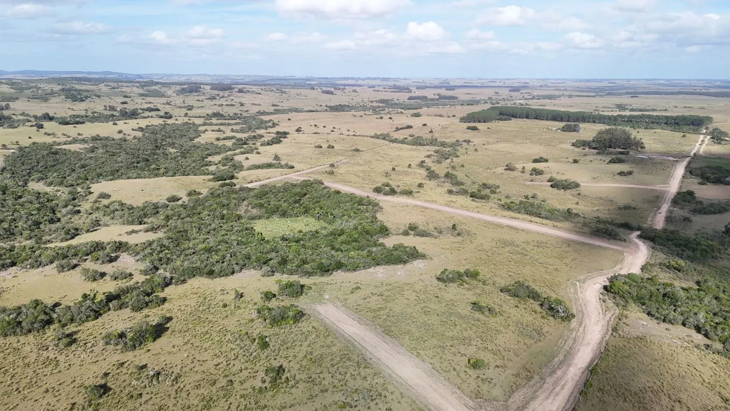 Campo en venta de 30 ha Garzón, Uruguay. — foto 18