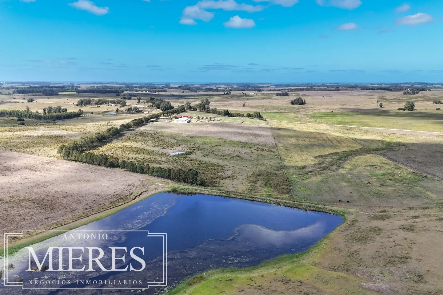 Chacra de 25ha con haras en La Barra Maldonado — foto 4