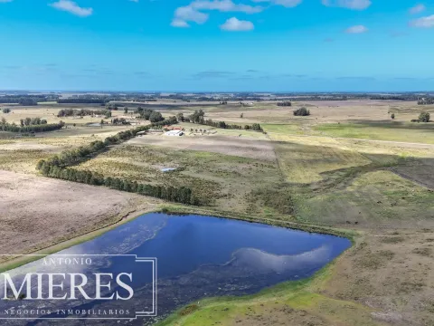 Chacra de 25ha con haras en La Barra Maldonado — foto 4