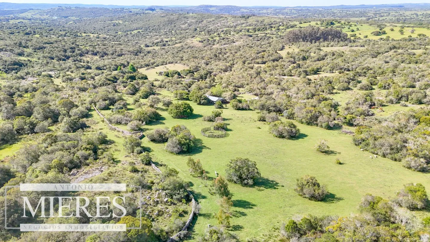Chacra de 12ha con casa en las sierras de Maldonado ruta 39 — foto 22