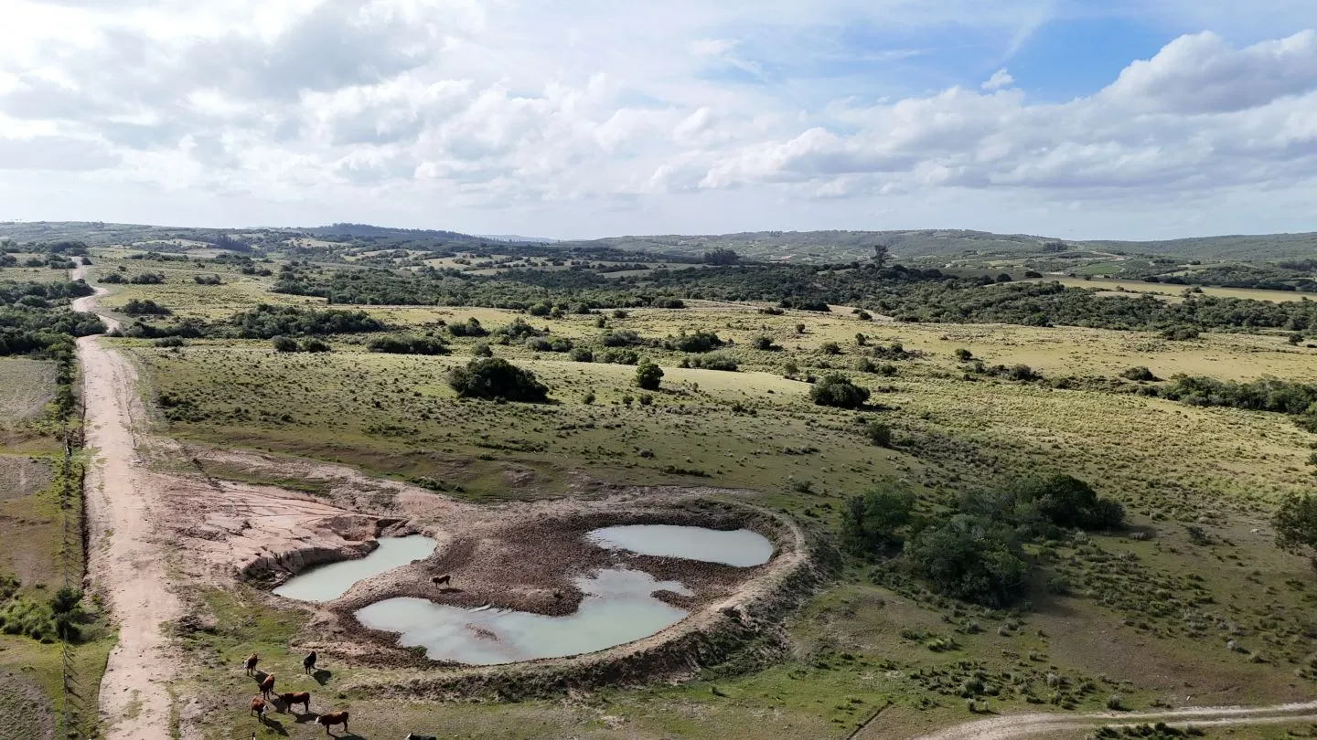 Campo en venta de 30 ha Garzón, Uruguay. — foto 21