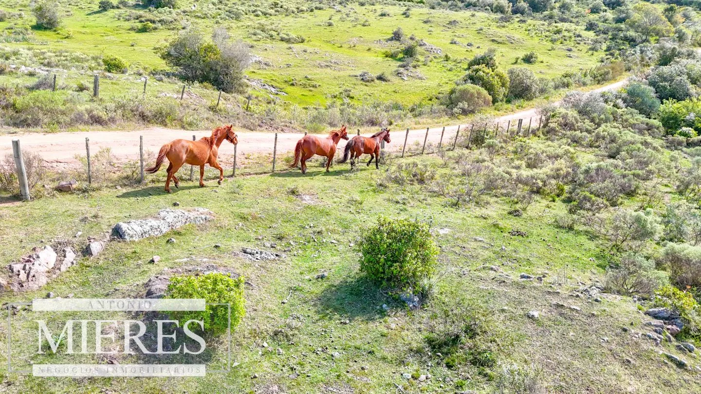 Chacra de 12ha con casa en las sierras de Maldonado ruta 39 — foto 26