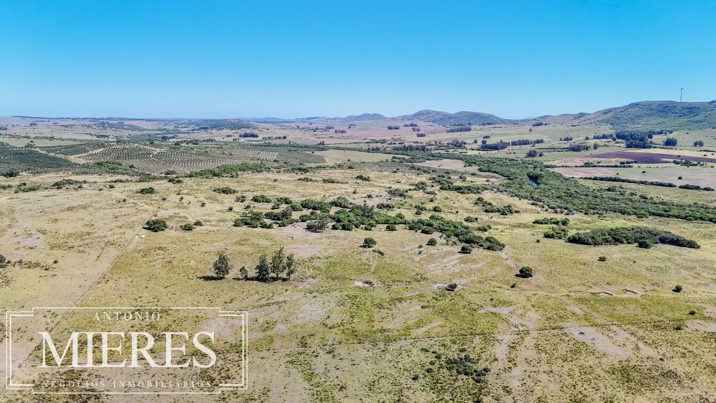 Chacra en venta de 9 ha Maldonado, Uruguay. — foto 4
