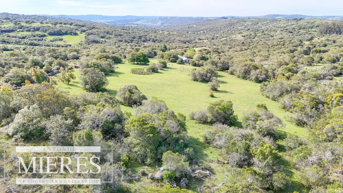 Chacra de 12ha con casa en las sierras de Maldonado ruta 39 — foto 27