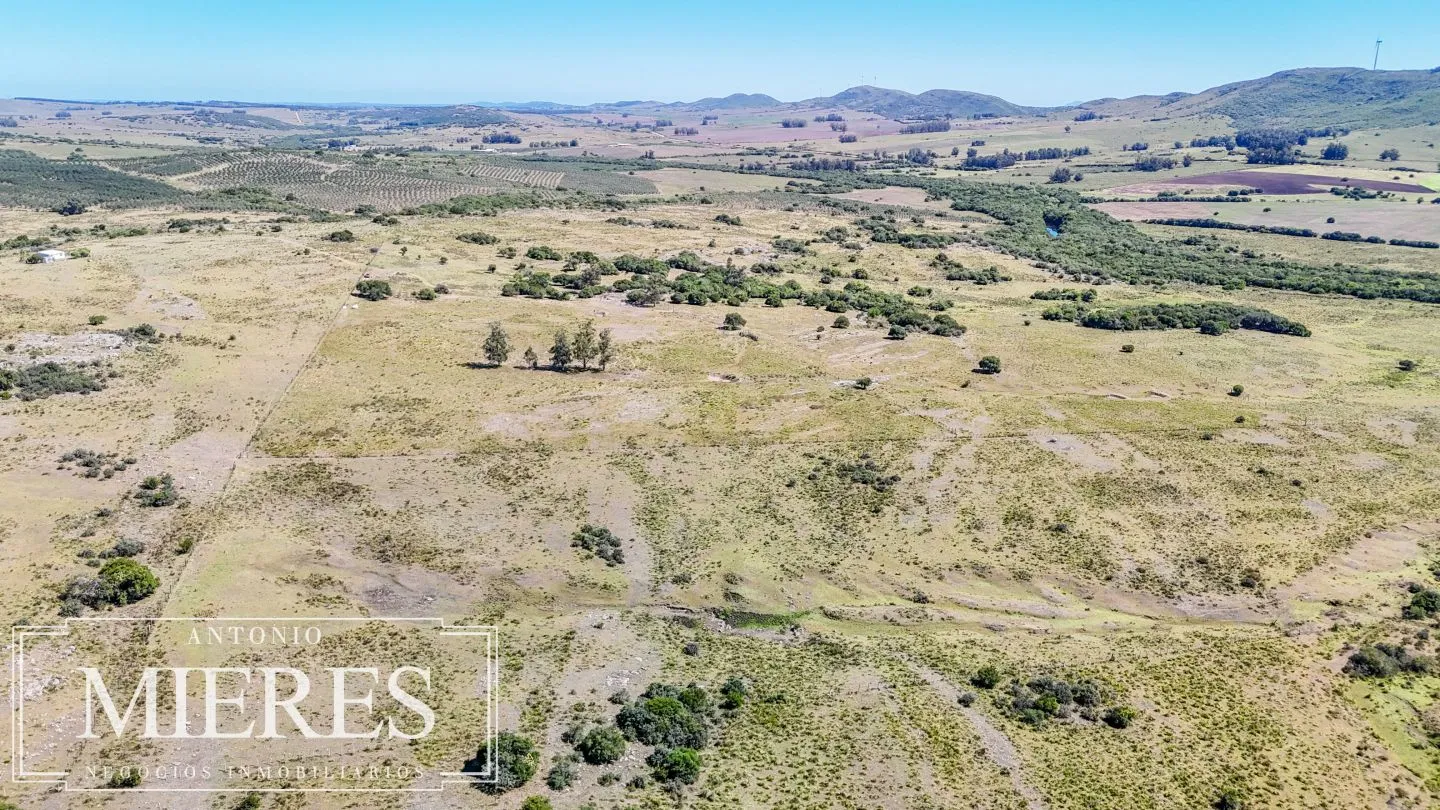 Chacra en venta de 9 ha Maldonado, Uruguay. — foto 5