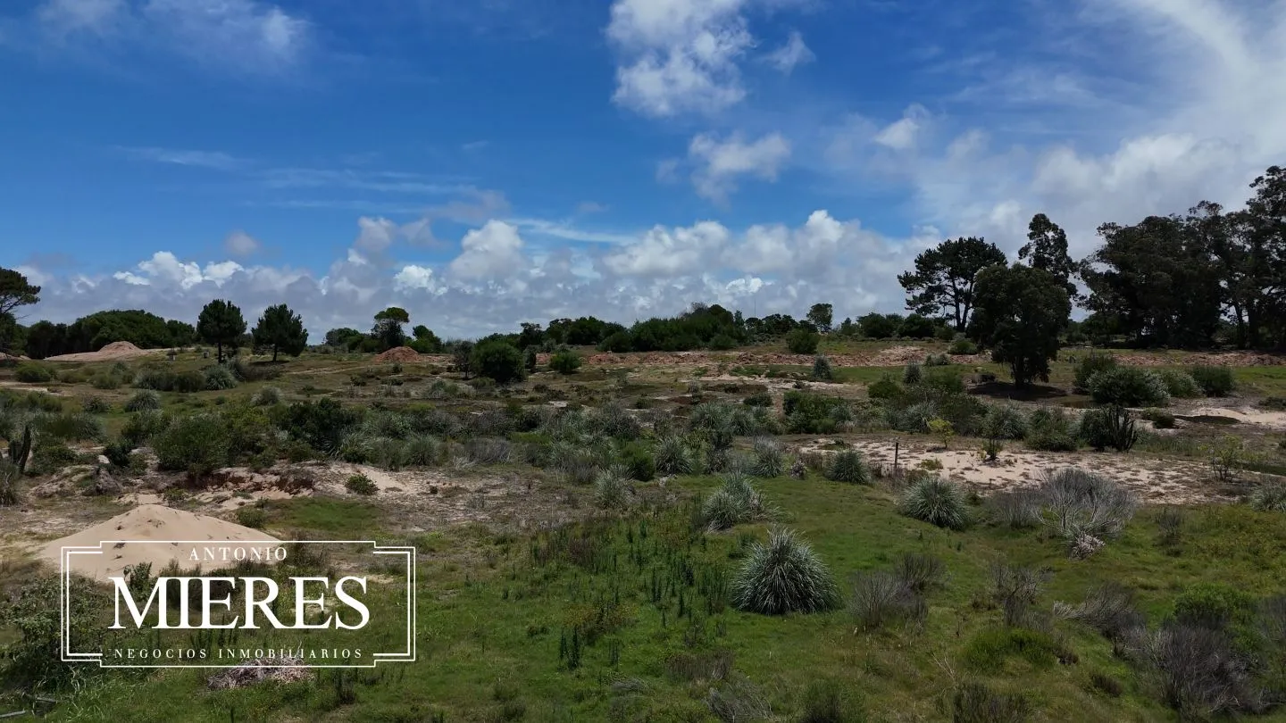 Venta lote 1000m2 en barrio Playa Brava a 5' de Jose Ignacio — foto 3