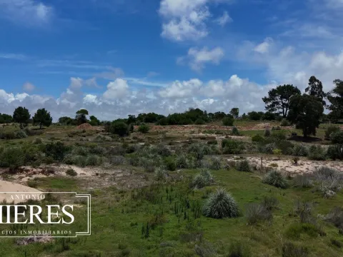 Venta lote 1000m2 en barrio Playa Brava a 5' de Jose Ignacio — foto 3
