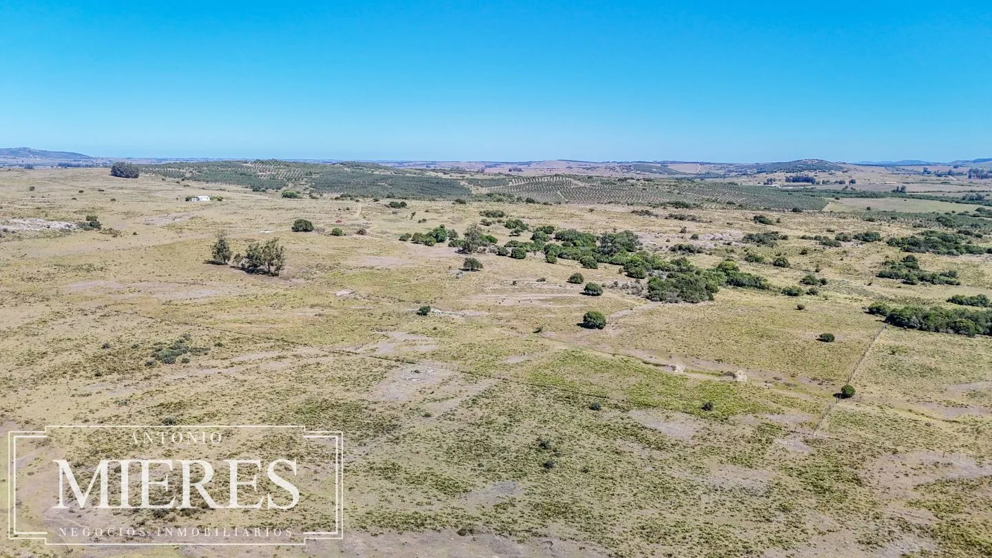 Chacra en venta de 9 ha Maldonado, Uruguay. — foto 6