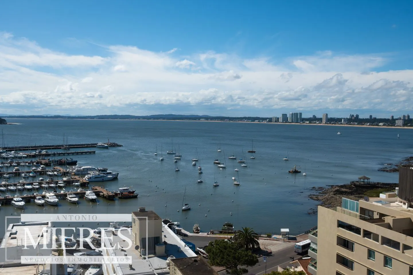 Venta apartamento 4 dormitorios- Península — foto 1