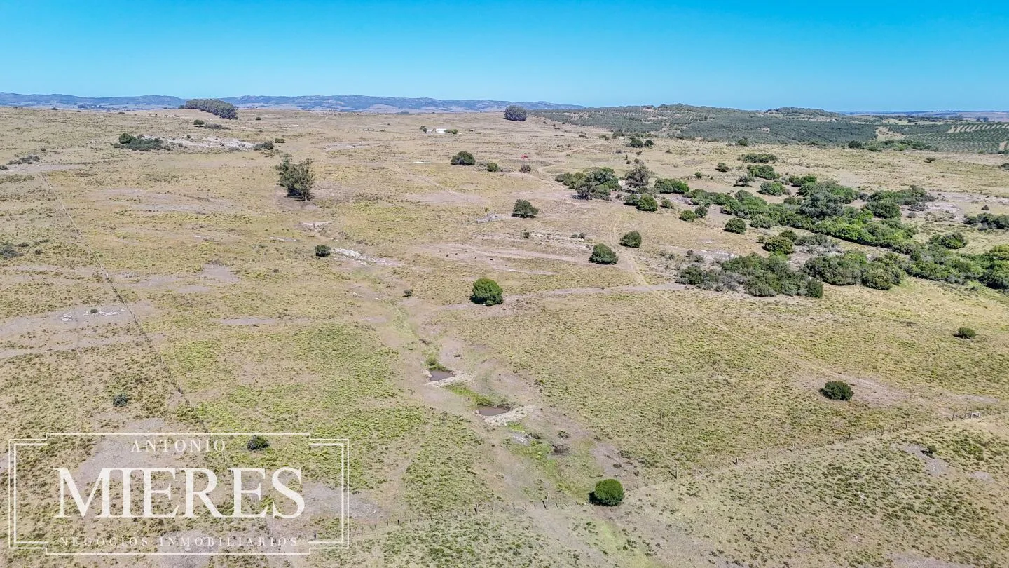 Chacra en venta de 9 ha Maldonado, Uruguay. — foto 7