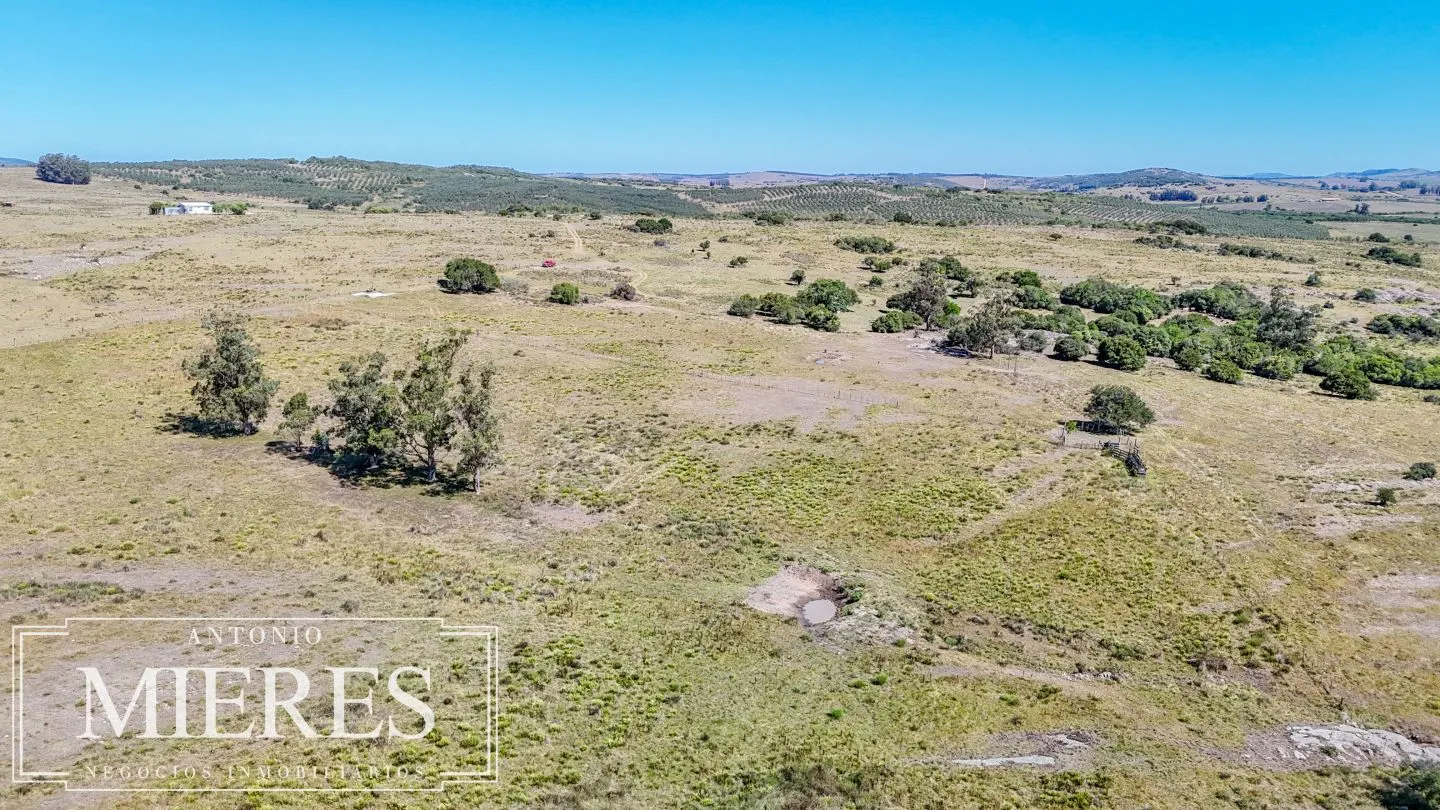 Chacra en venta de 9 ha Maldonado, Uruguay. — foto 10