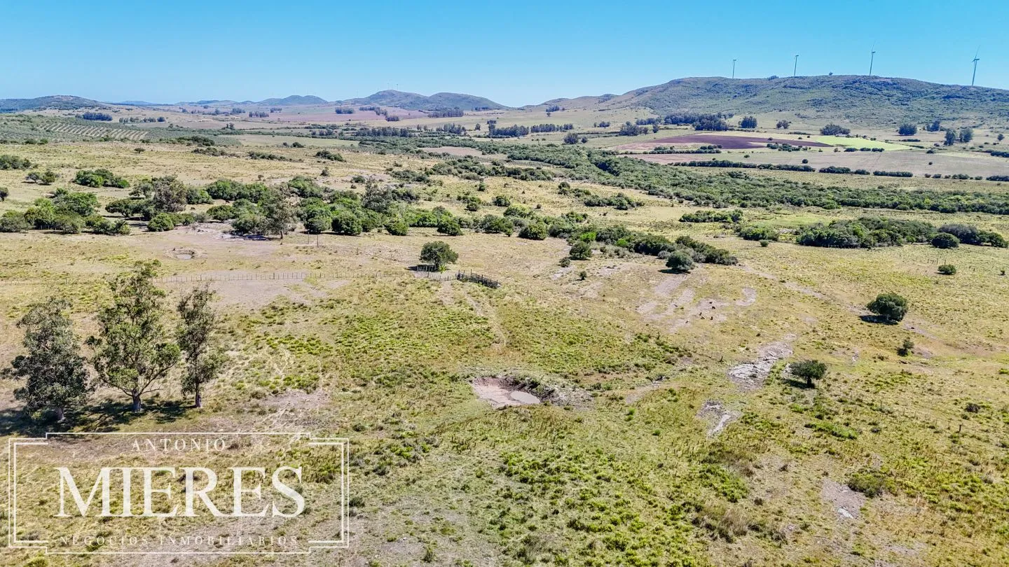 Chacra en venta de 9 ha Maldonado, Uruguay. — foto 11