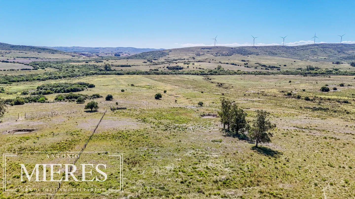 Chacra en venta de 9 ha Maldonado, Uruguay. — foto 13