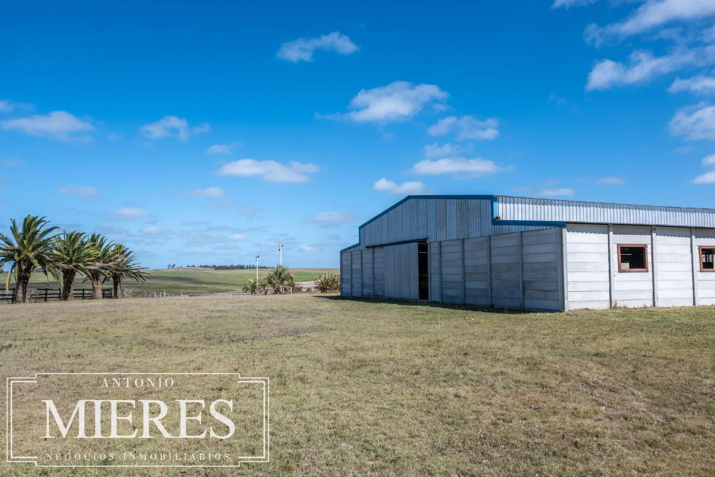 Chacra de 25ha con haras en La Barra Maldonado — foto 28