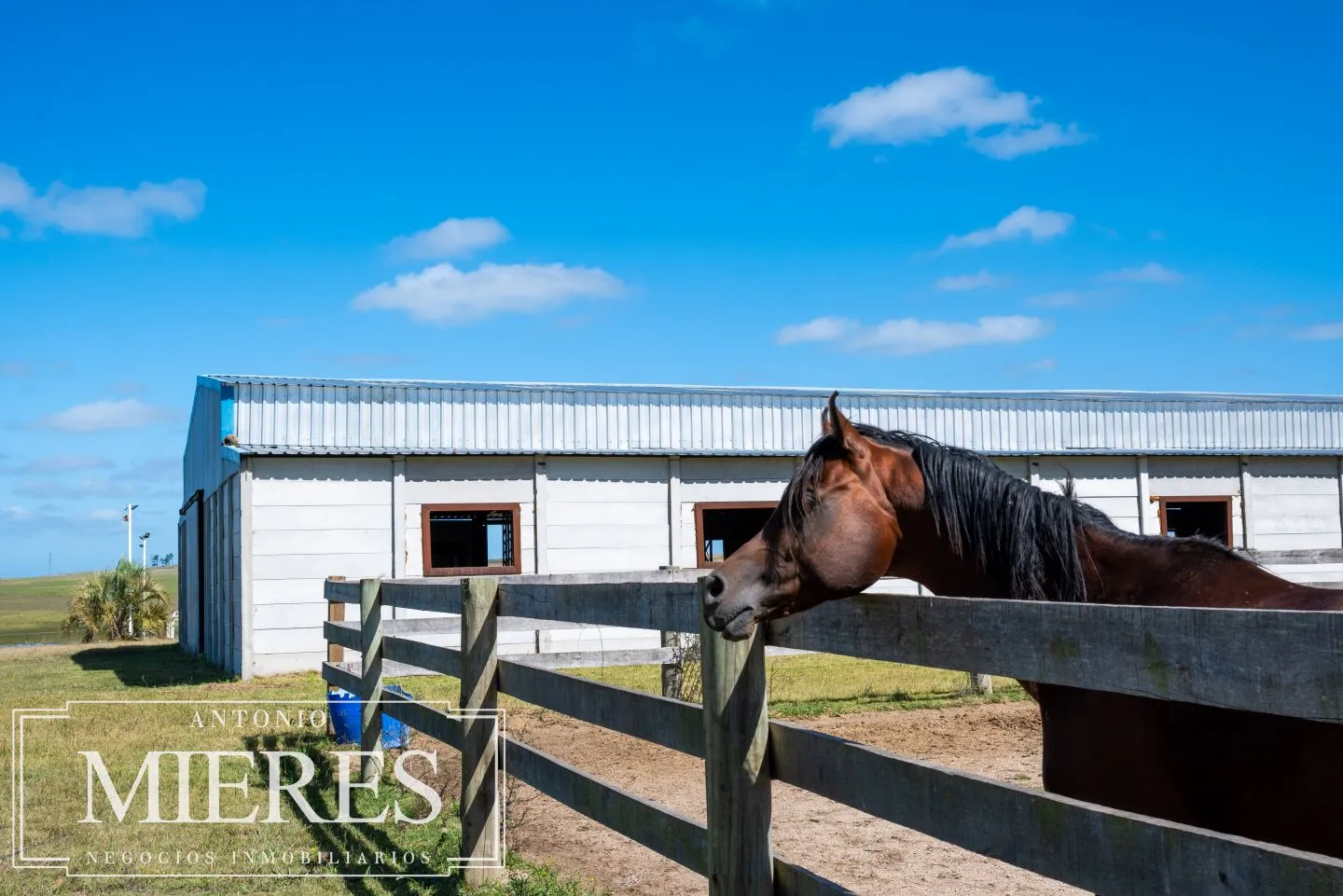 Chacra de 25ha con haras en La Barra Maldonado — foto 30