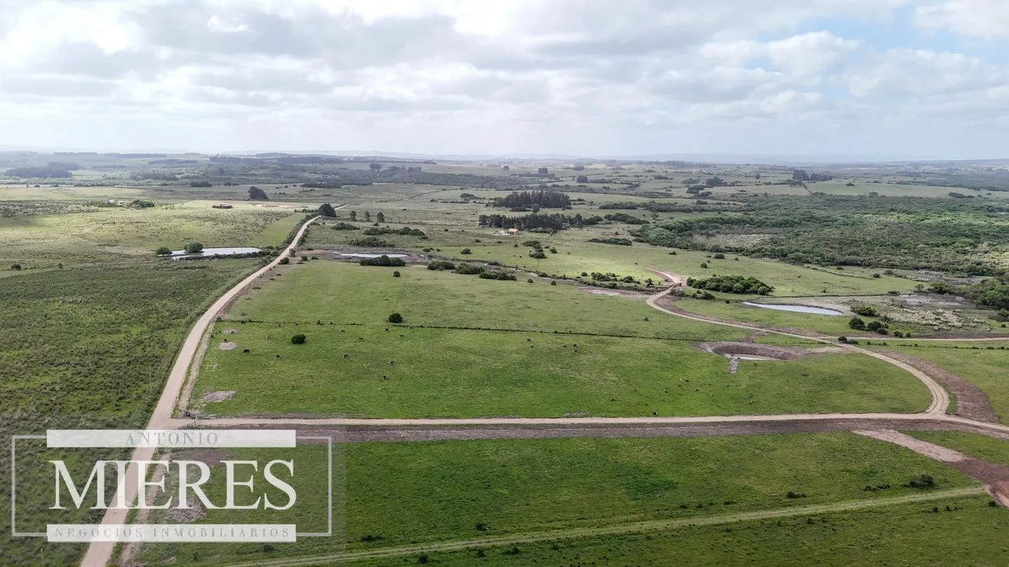 Chacra / Campo 3 ha en Laguna José Ignacio — foto 6