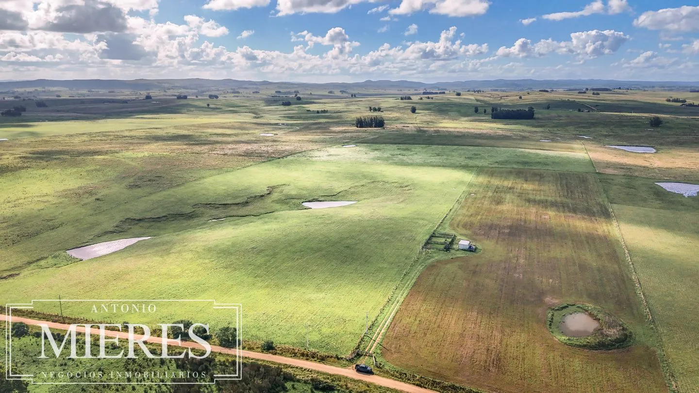 Campo en venta de 25 ha, puntas de José Ignacio, Maldonado Uruguay. — foto 1