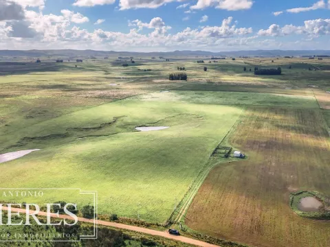 Campo en venta de 25 ha, puntas de José Ignacio, Maldonado Uruguay.