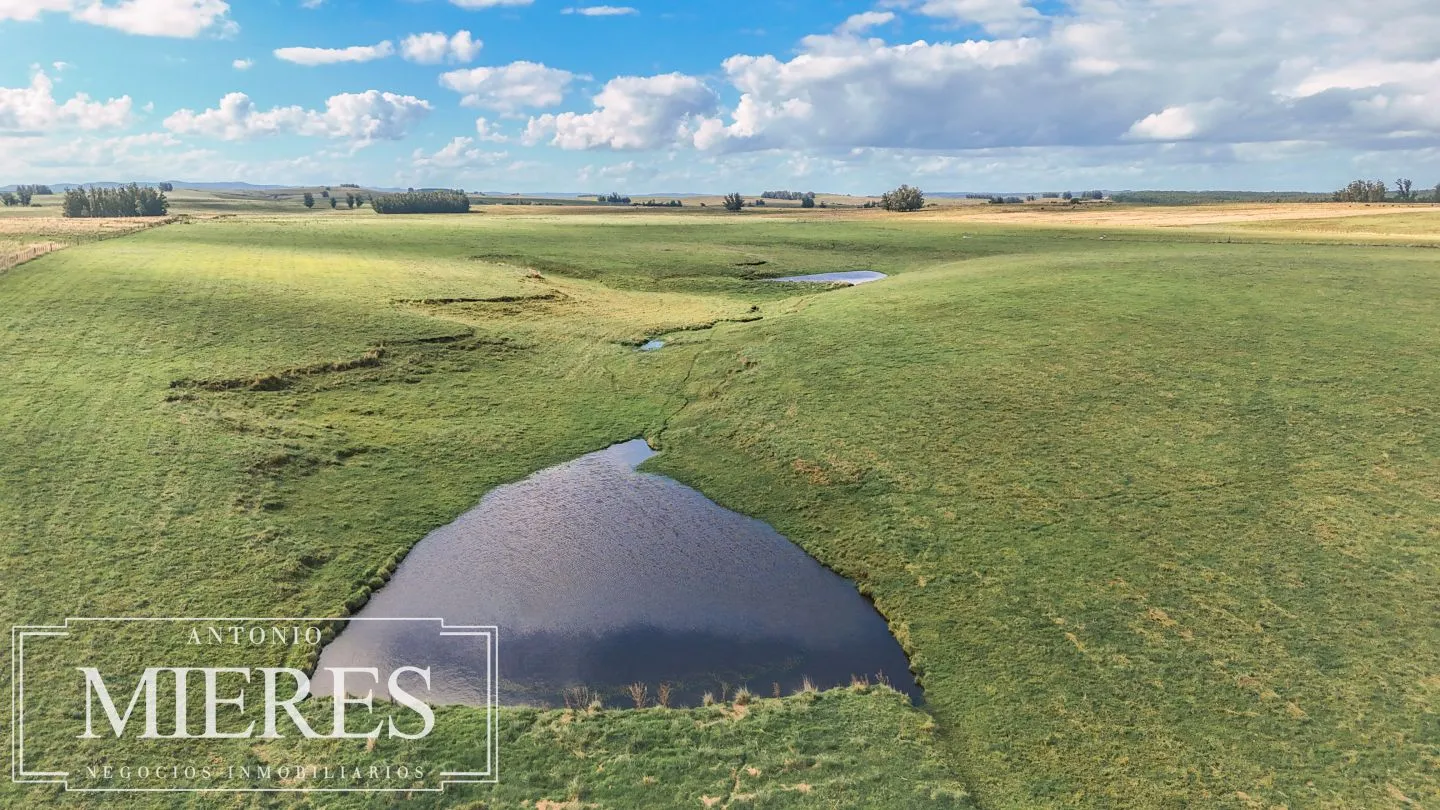 Campo en venta de 25 ha, puntas de José Ignacio, Maldonado Uruguay. — foto 2