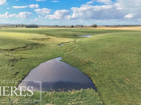 Campo en venta de 25 ha, puntas de José Ignacio, Maldonado Uruguay. — foto 2