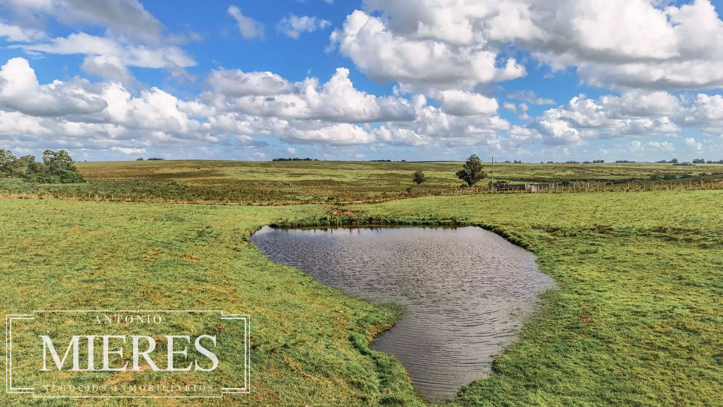Campo en venta de 25 ha, puntas de José Ignacio, Maldonado Uruguay. — foto 3