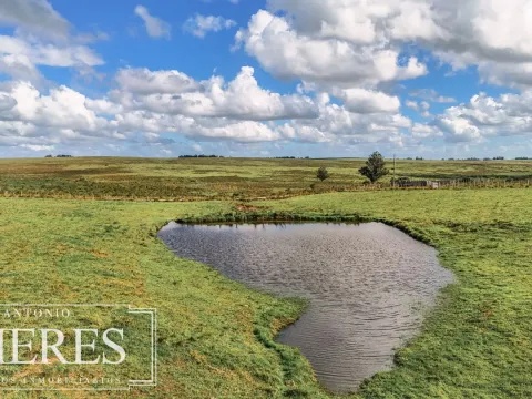 Campo en venta de 25 ha, puntas de José Ignacio, Maldonado Uruguay. — foto 3