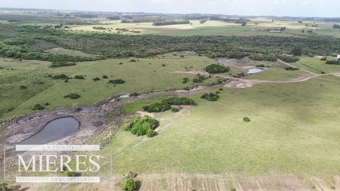 Chacra / Campo 3 ha en Laguna José Ignacio — foto 8