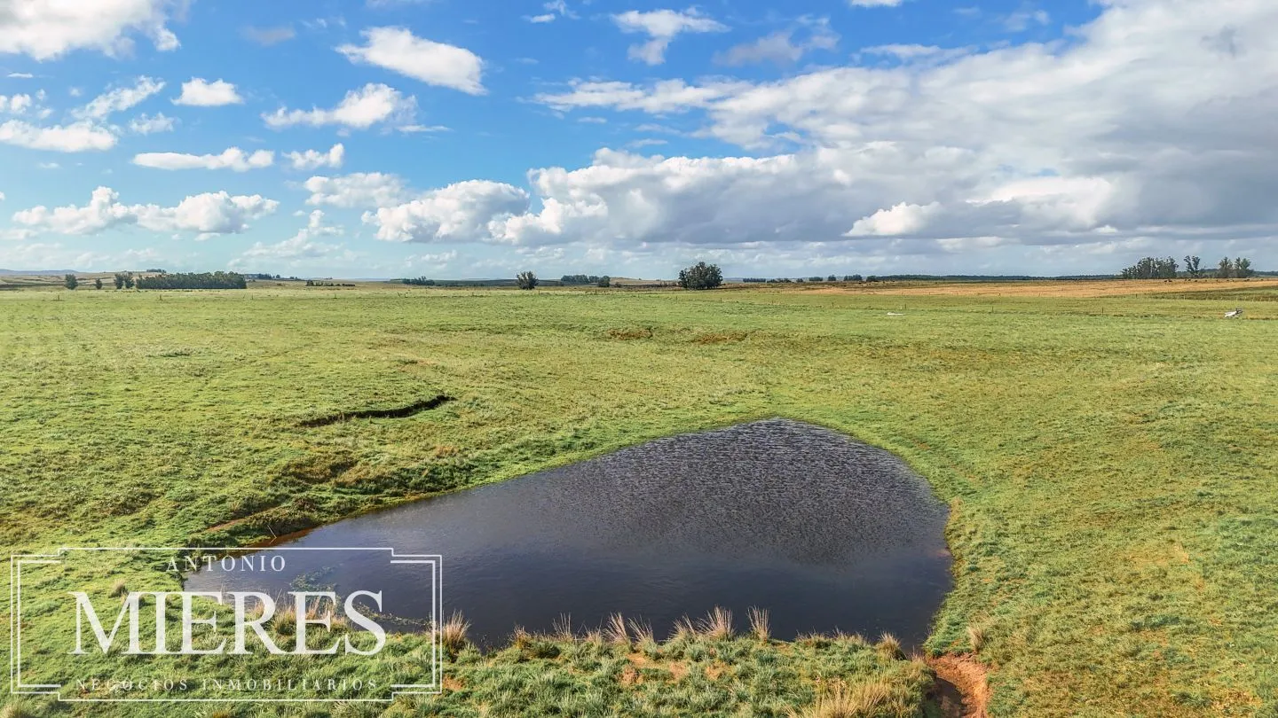 Campo en venta de 25 ha, puntas de José Ignacio, Maldonado Uruguay. — foto 4