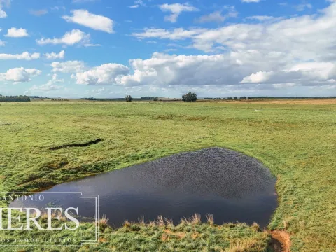 Campo en venta de 25 ha, puntas de José Ignacio, Maldonado Uruguay. — foto 4