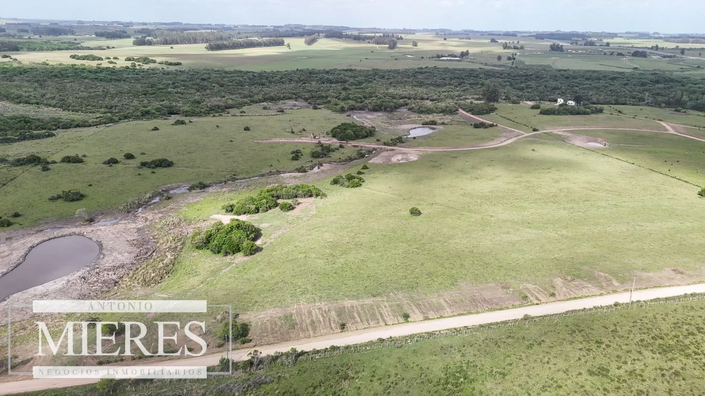 Chacra / Campo 3 ha en Laguna José Ignacio — foto 9