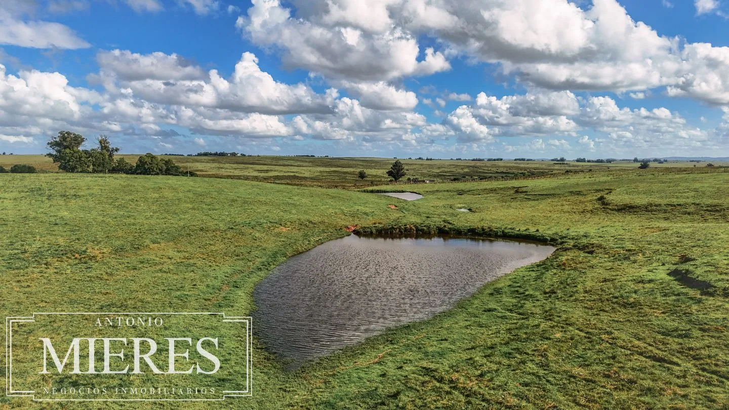 Campo en venta de 25 ha, puntas de José Ignacio, Maldonado Uruguay. — foto 5