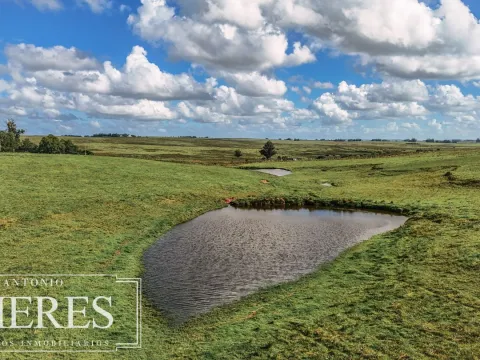 Campo en venta de 25 ha, puntas de José Ignacio, Maldonado Uruguay. — foto 5