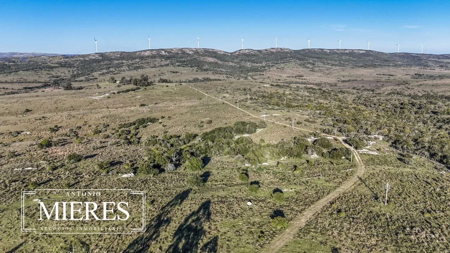 Campo de 600 ha en Sierras de carape, Maldonado Uruguay. — foto 2