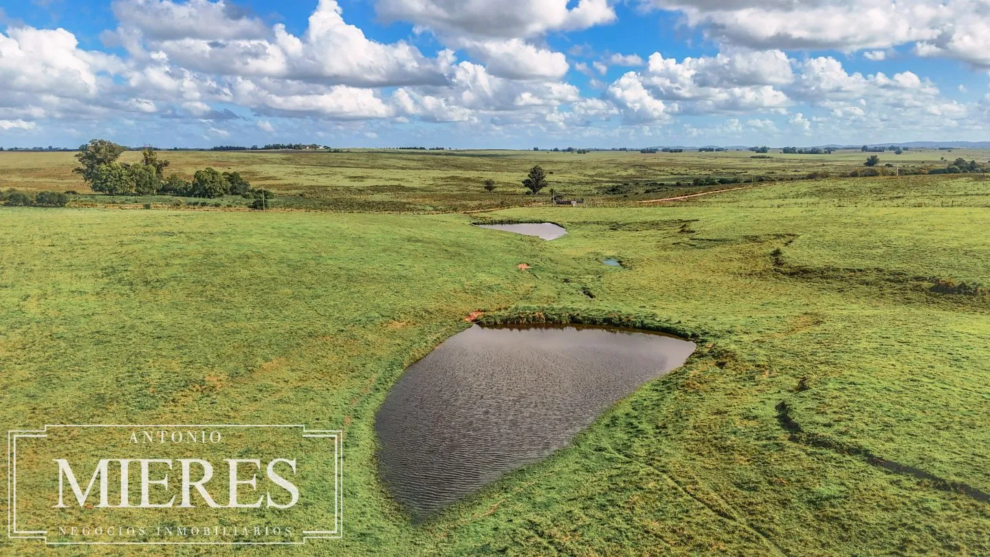 Campo en venta de 25 ha, puntas de José Ignacio, Maldonado Uruguay. — foto 6