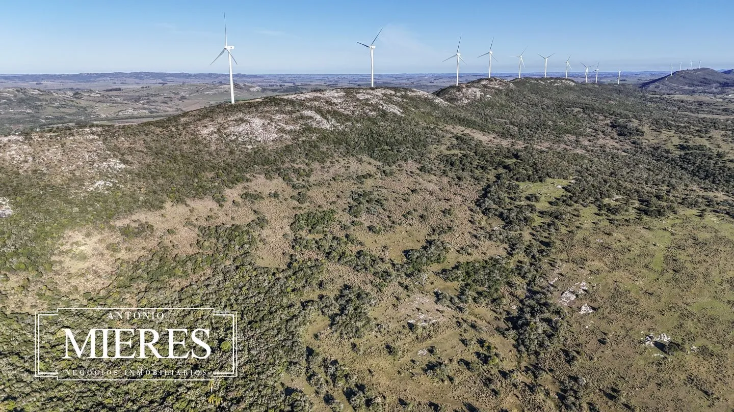 Campo de 600 ha en Sierras de carape, Maldonado Uruguay. — foto 3