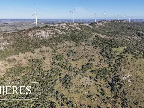 Campo de 600 ha en Sierras de carape, Maldonado Uruguay. — foto 3