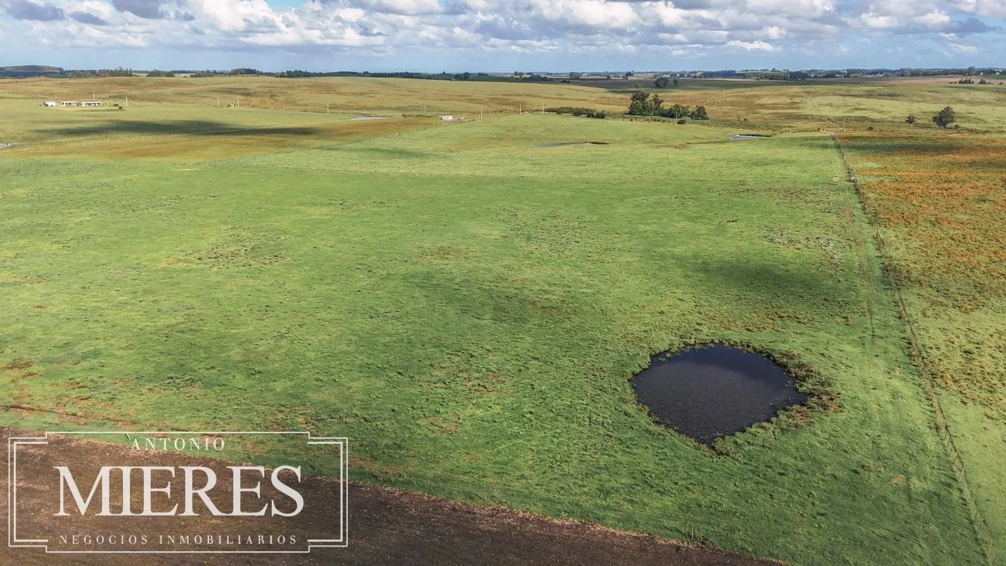 Campo en venta de 25 ha, puntas de José Ignacio, Maldonado Uruguay. — foto 7