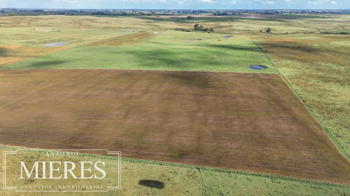 Campo en venta de 25 ha, puntas de José Ignacio, Maldonado Uruguay. — foto 8