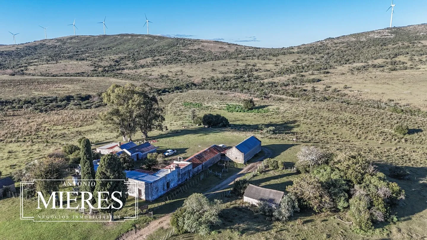 Campo de 600 ha en Sierras de carape, Maldonado Uruguay. — foto 5