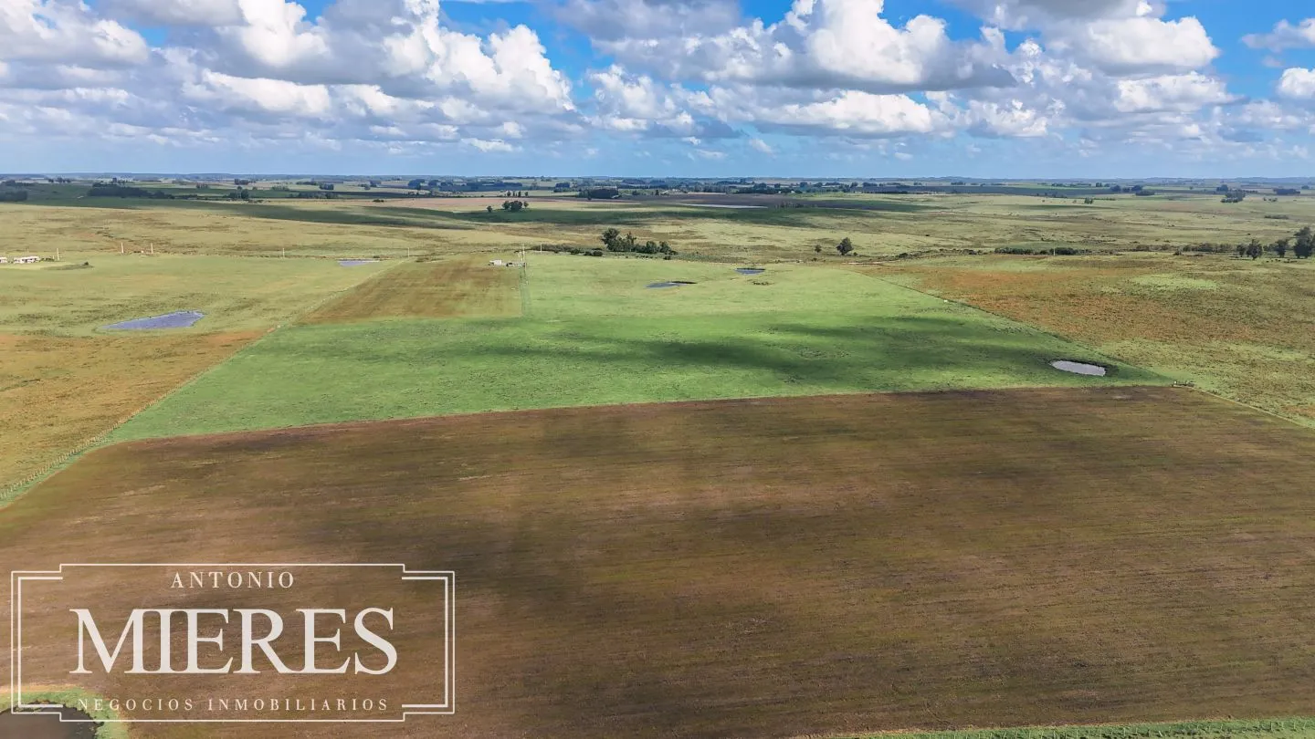 Campo en venta de 25 ha, puntas de José Ignacio, Maldonado Uruguay. — foto 9