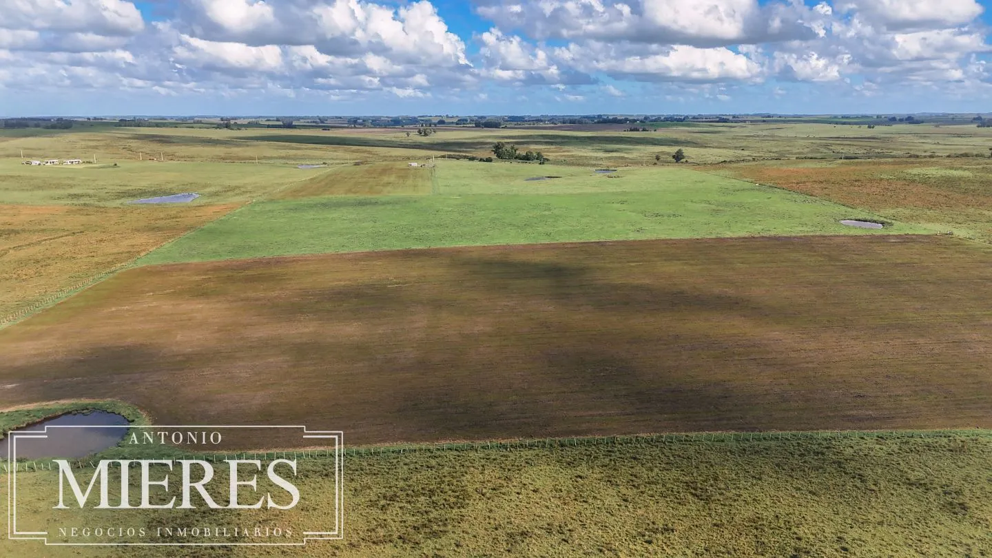 Campo en venta de 25 ha, puntas de José Ignacio, Maldonado Uruguay. — foto 10