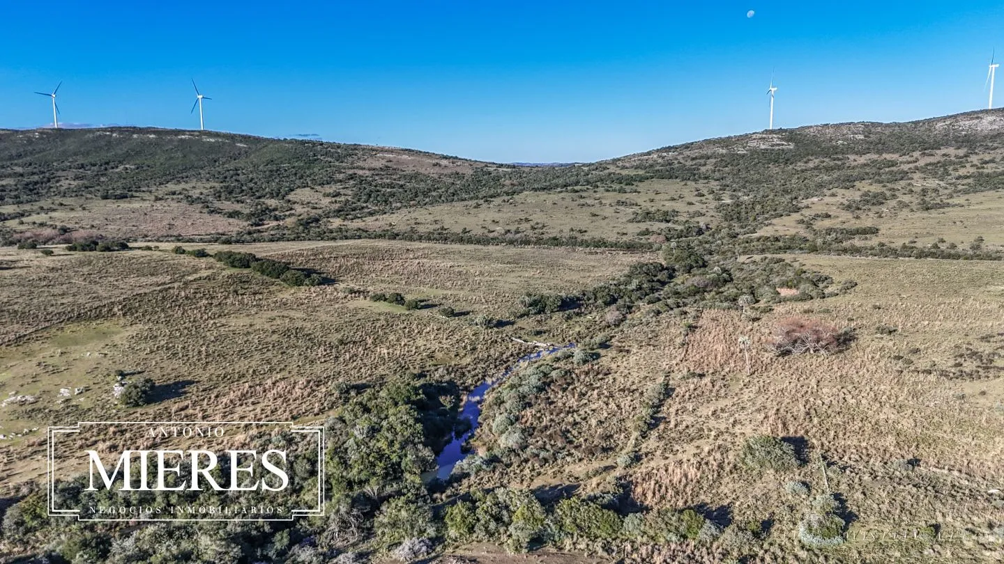 Campo de 600 ha en Sierras de carape, Maldonado Uruguay. — foto 6
