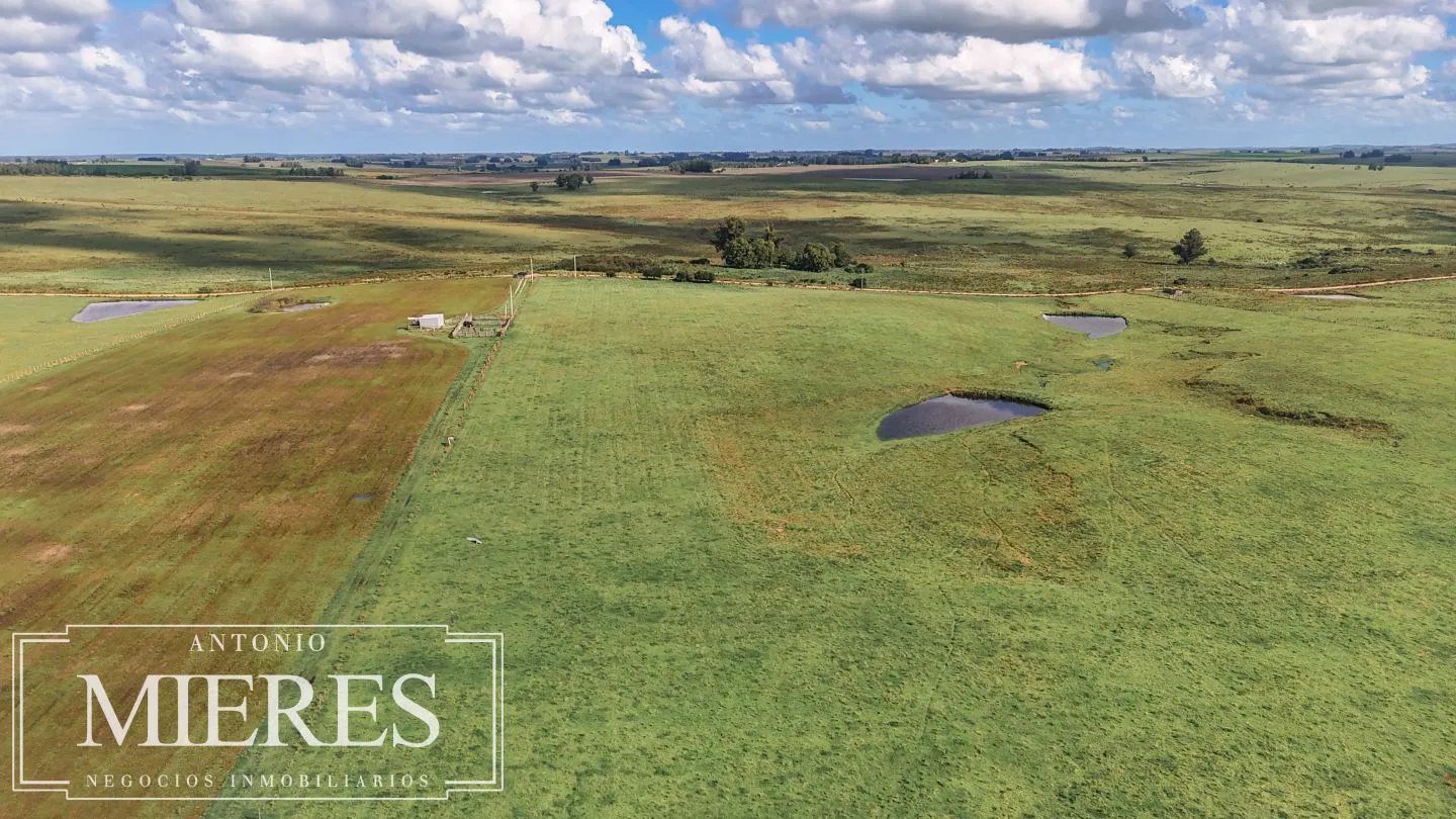 Campo en venta de 25 ha, puntas de José Ignacio, Maldonado Uruguay. — foto 11