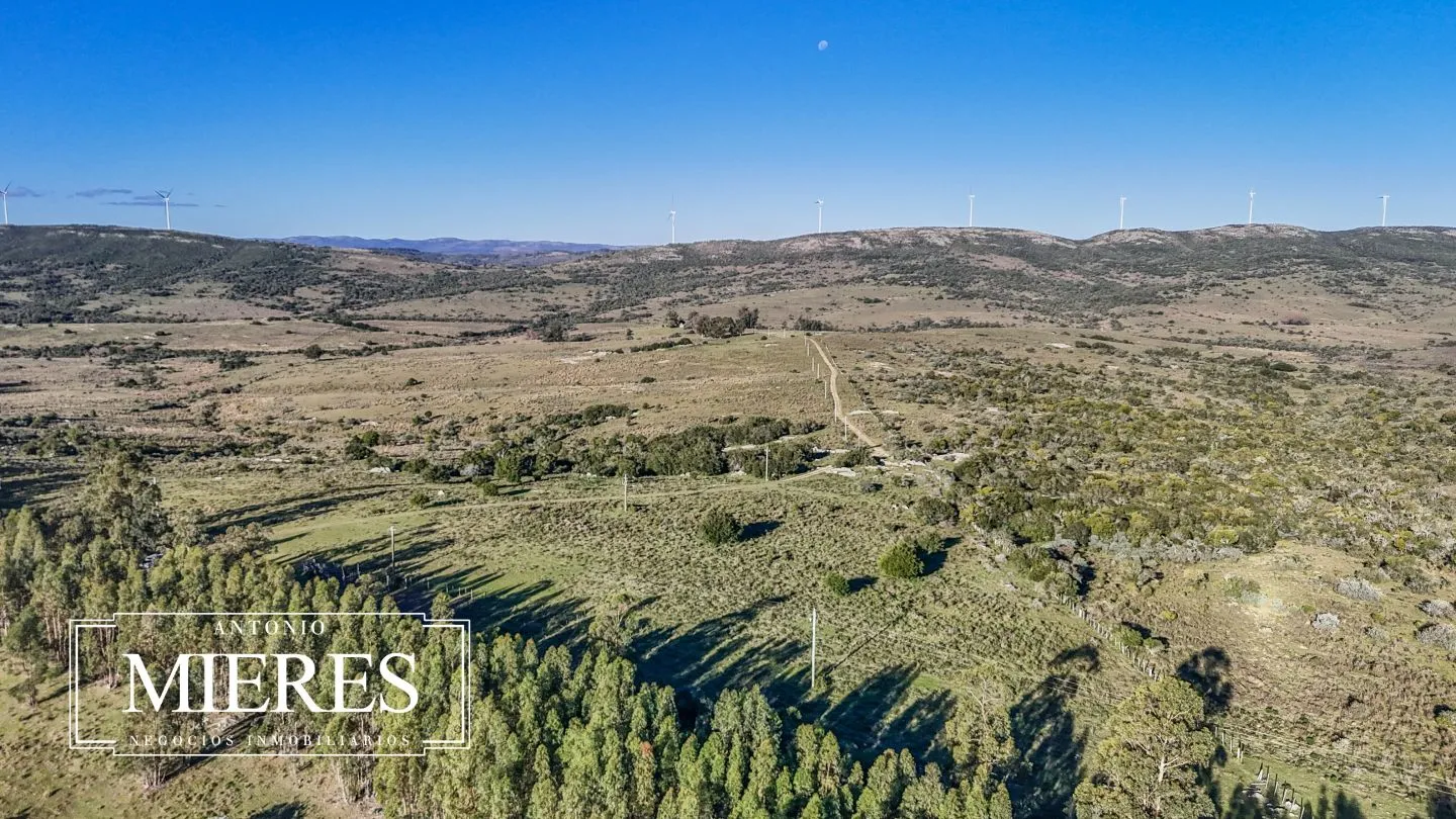 Campo de 600 ha en Sierras de carape, Maldonado Uruguay. — foto 7