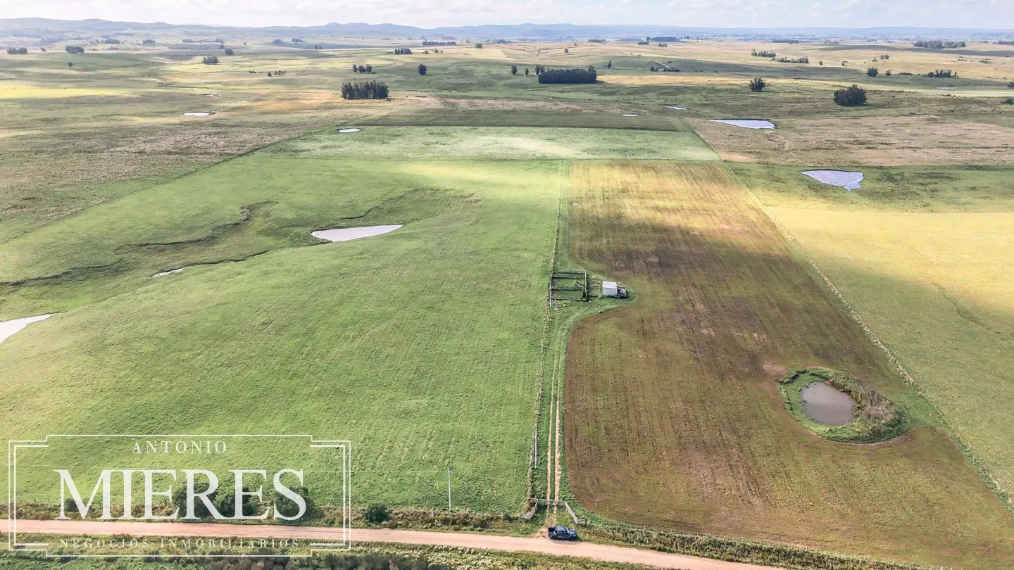 Campo en venta de 25 ha, puntas de José Ignacio, Maldonado Uruguay. — foto 12