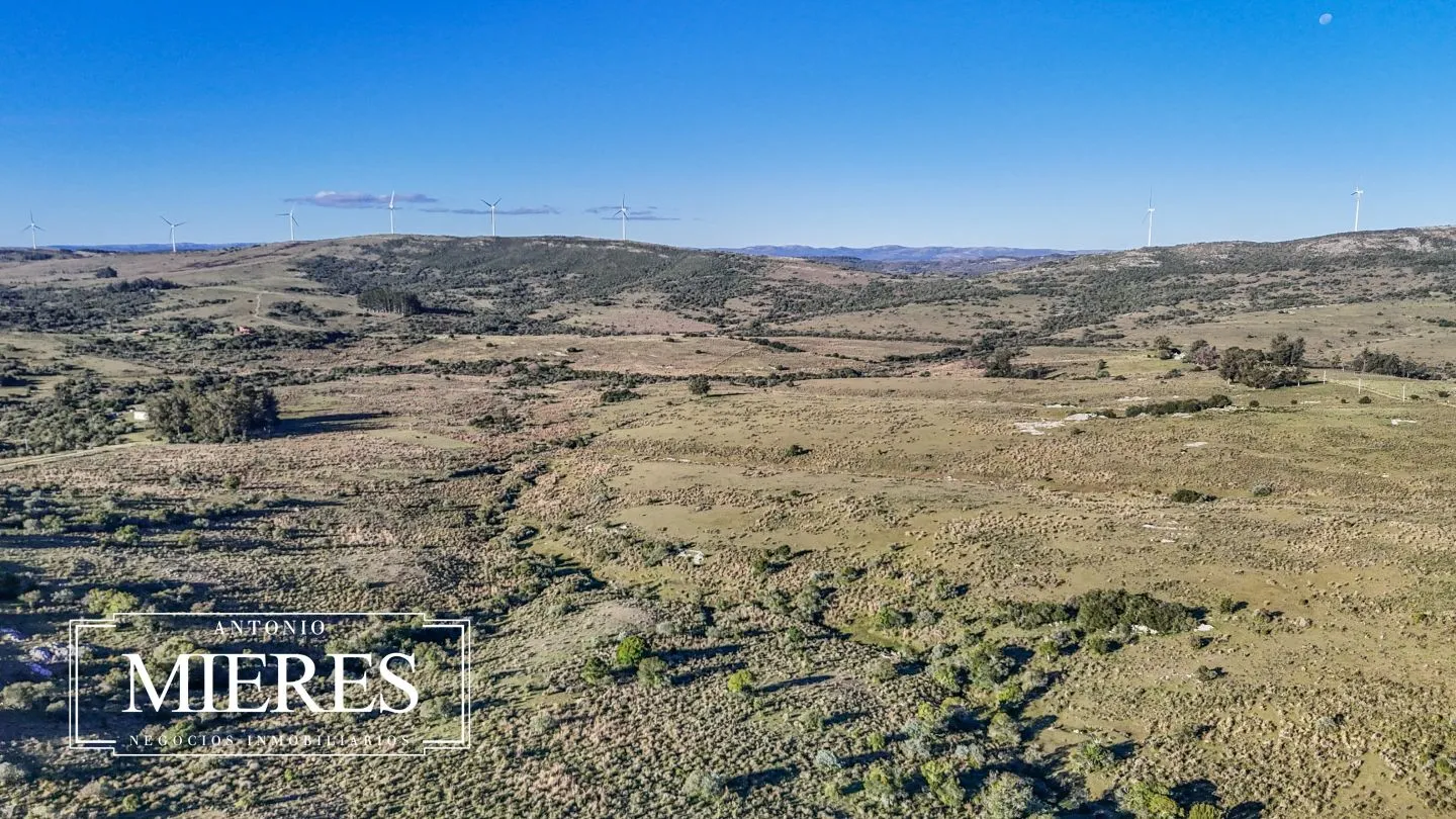 Campo de 600 ha en Sierras de carape, Maldonado Uruguay. — foto 8