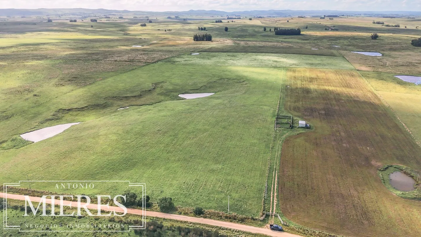 Campo en venta de 25 ha, puntas de José Ignacio, Maldonado Uruguay. — foto 13